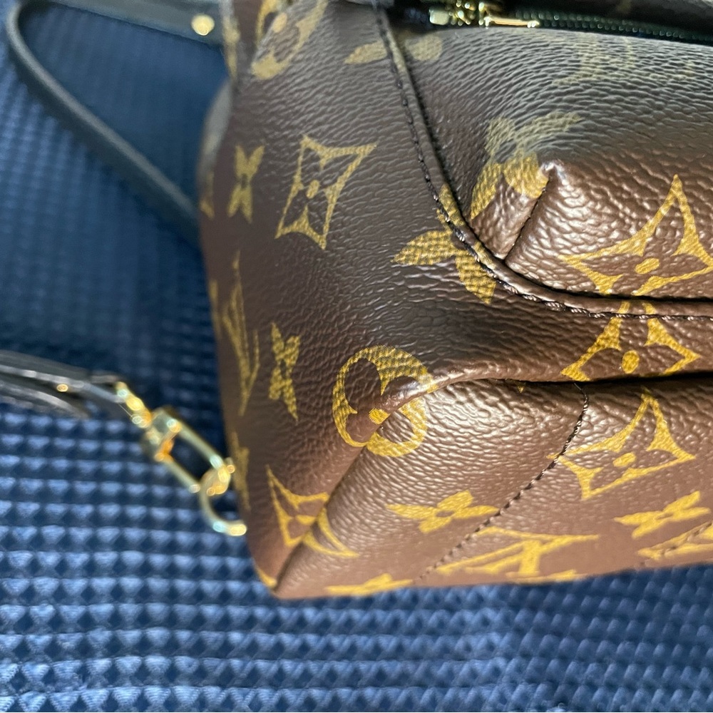 Louis Vuitton Palms Springs mini - Picture 10 of 15